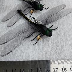 虫除け オニヤンマくん　2個の画像