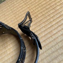 Ｄoublefocus 　ベルトの画像