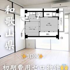 和歌山県和歌山市　初期費用ゼロ　家賃33000円　緊急連絡先のみ...
