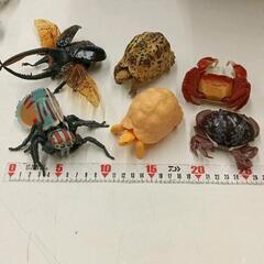 0611-016 ガチャガチャ　いきもの大図鑑