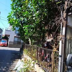 ✂️お庭の草刈り、剪定、伐採お手伝いします！