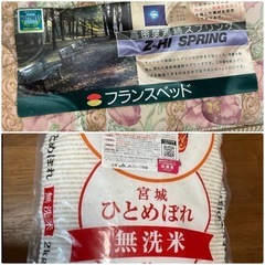 高級ベッドマットシングル➕おまけ/こここ米