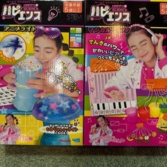 知育玩具 ハピエンス 2個セット