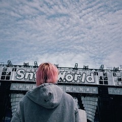 スノファン(*´ `*)