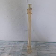 シュノーケルの画像