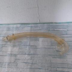 シュノーケル