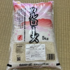 お米　5kg