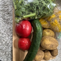 夏野菜セット
