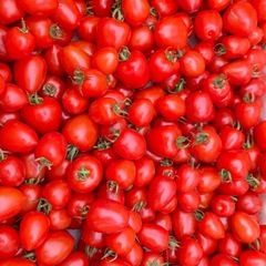 朝採りミニトマト🍅
