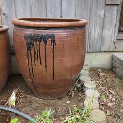 大かめ　はんど
