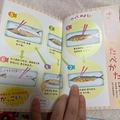 図鑑セットの画像