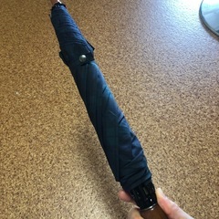 昭和　折り畳み傘の画像