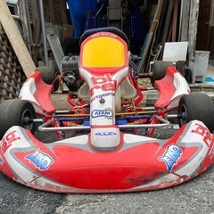 レーシングカート　ビレル birel 実働
の画像