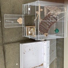 インコの鳥かご(綺麗にしてお渡し致します)