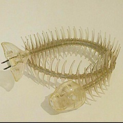 【希少！明和電機「ナコード」】魚の骨デザインの延長コード🐟の画像