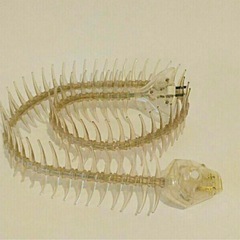 【希少！明和電機「ナコード」】魚の骨デザインの延長コード🐟