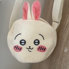 パチモン  うさぎ
