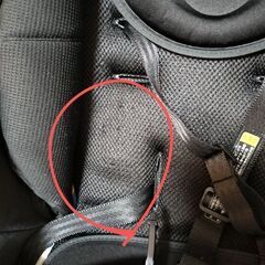 ピジョンランフィ　AB型　RB1Zの画像