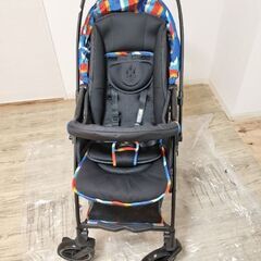 ピジョンランフィ　AB型　RB1Zの画像