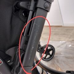 ピジョンランフィ　AB型　RB1Zの画像