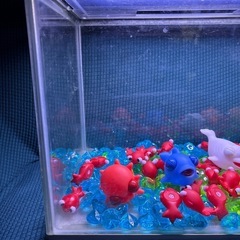 テトラ水槽(約30×51cm)ライト付きの画像