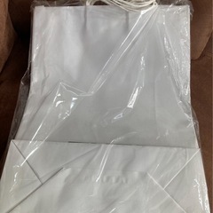 ノースフェイス紙袋新品の画像