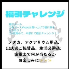 6/15(日)千葉‼️あけぼの山農業公園　メダカフェスティバル − 千葉県