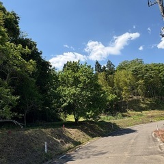 最近やたらと嫌なことばかり😰