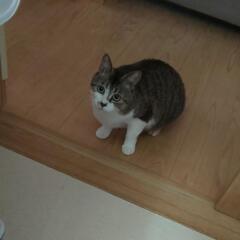 幸せになってほしいです☆