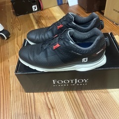 値下げ❗️FJ PRO SLゴルフシューズの画像