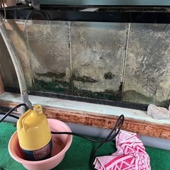 熱帯魚水槽 の画像