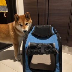 ペットキャリーの画像