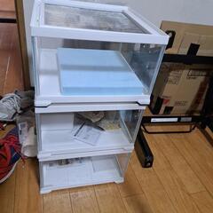 爬虫類ゲージ　レプテリア　ニシアフ　レオパ　ヒョウモントカゲモドキ