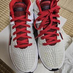 NIKE ナイキ　kd13 EP　　25cm