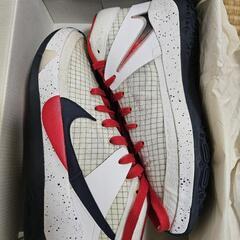 NIKE ナイキ　kd13 EP　　25cmの画像