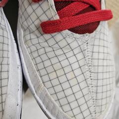 NIKE ナイキ　kd13 EP　　25cmの画像