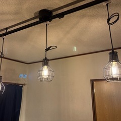 【早い者勝ち】スマート電球、電球カバー、ダクトレール、Alexa...