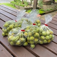 《無農薬》南高梅 青梅 1キロ 700円 残りわずか