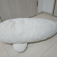 ジャンボしろたん 95cm！の画像