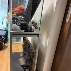 60cm水槽その他まとめ売りの画像