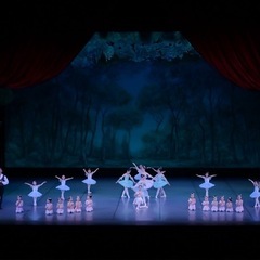 入会キャンペーンの画像