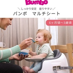 売却済み　バンボ Bumbo ベビーチェア グレー の画像