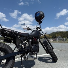 TW225E 2003年式 ロンスイカスタム スカチューンカスタムの画像