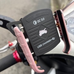 エンジン載せ替え200cc 　pgo G-MAX125   の画像