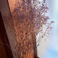 乾燥花？