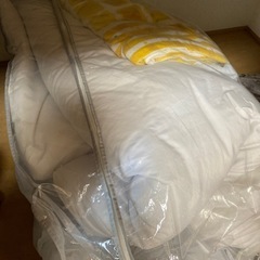 引っ越しのため断捨離中　布団　毛布　　小物入れ　紙袋　雑貨　