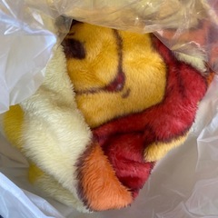引っ越しのため断捨離中　布団　毛布　　小物入れ　紙袋　雑貨　の画像