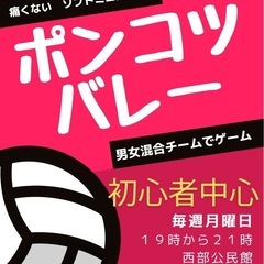 初心者専用　ソフトバレー　痛くないよ♪