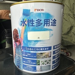 DCM 水性多用途ペンキ