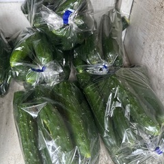 野菜